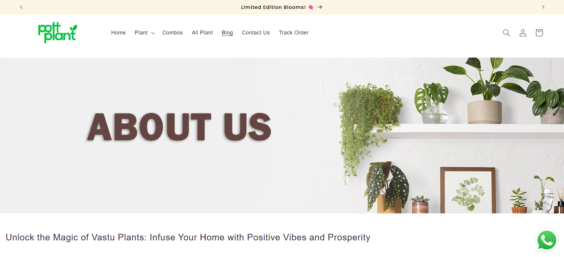 Indoor Plant Store — image 1